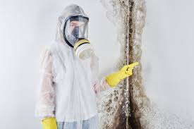 Asbestos and Lead Testing During Mold Inspection